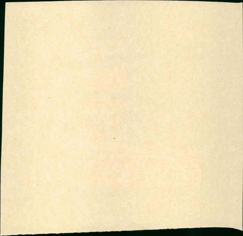 The toxic avenger - Vintage Photograph