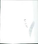 Biloxi Blues - Vintage Photograph