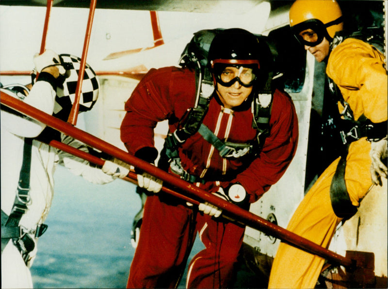 The gypsy moths - Vintage Photograph