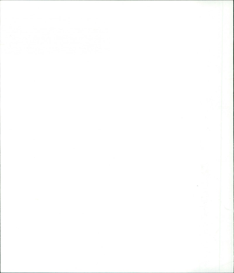 Bird on a Wire - Vintage Photograph