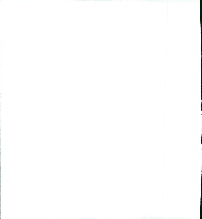 Birdman of Alcatraz - Vintage Photograph