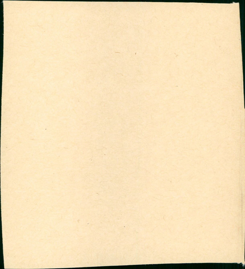 Bird on a Wire - Vintage Photograph