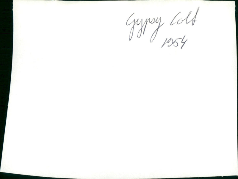 Gypsy Colt - Vintage Photograph