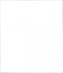 Trail of the Pink Panther - Vintage Photograph