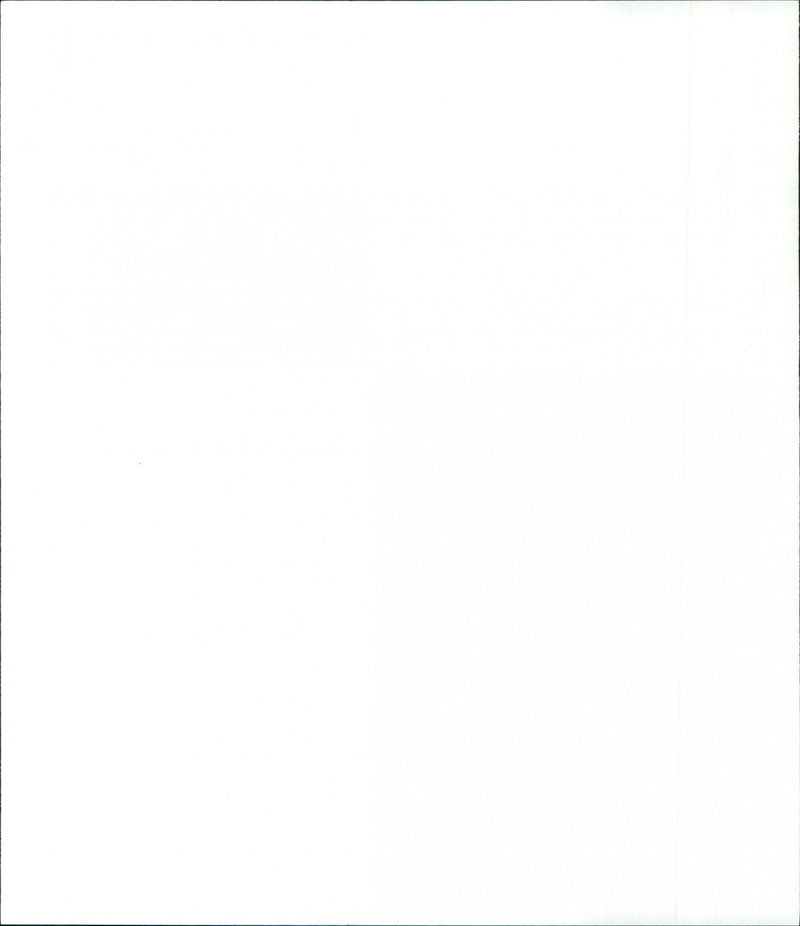 Trail of the Pink Panther - Vintage Photograph