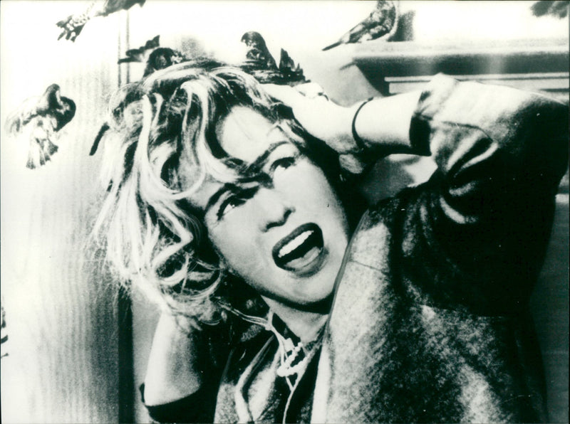 The Birds - Vintage Photograph