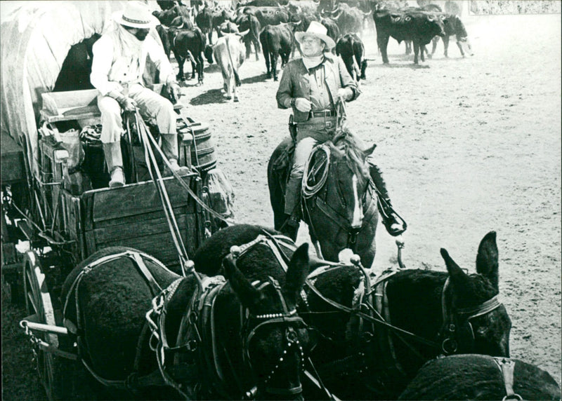 The Cowboys - Vintage Photograph