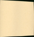 Le Chat - Vintage Photograph