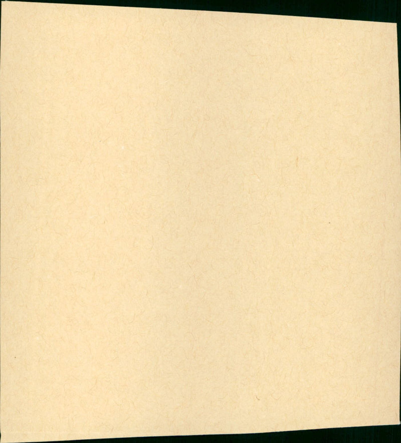 Le Chat - Vintage Photograph