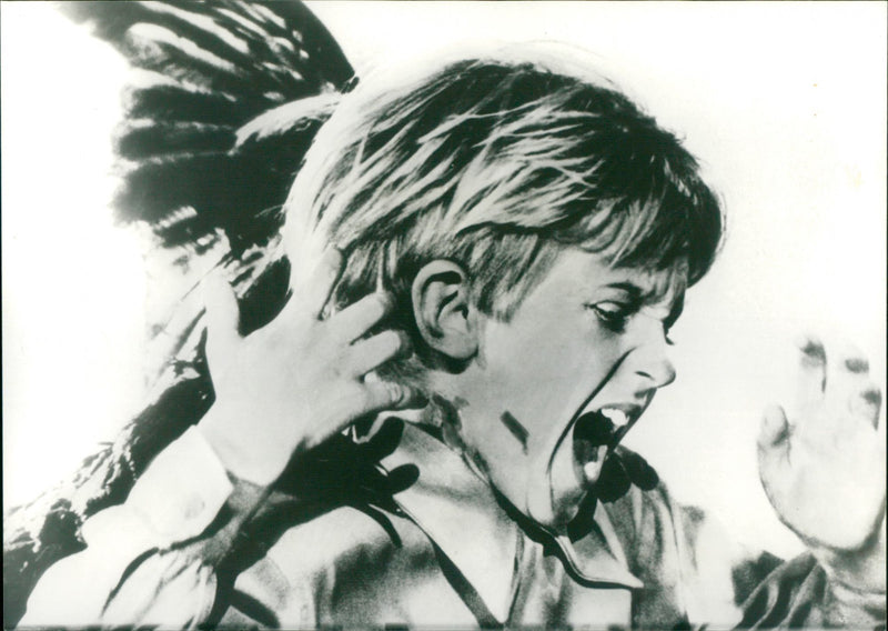 The Birds - Vintage Photograph