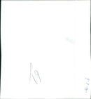 The birds - Vintage Photograph