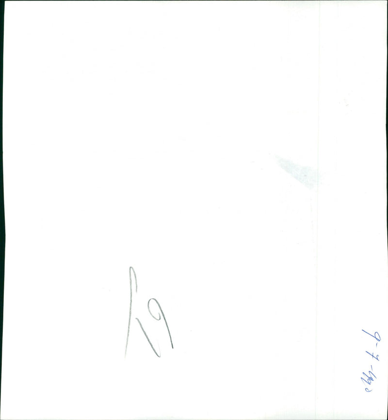 The birds - Vintage Photograph