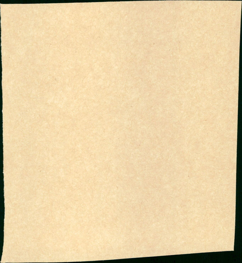 The Train - Vintage Photograph