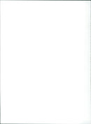 Gotcha! - Vintage Photograph