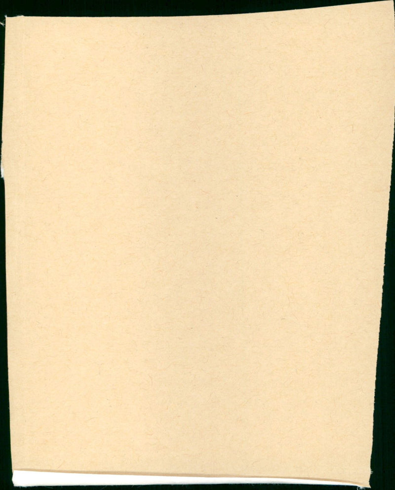 Das leichte Mädchen - Vintage Photograph