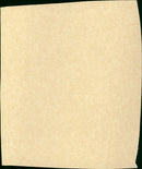 The Birds - Vintage Photograph