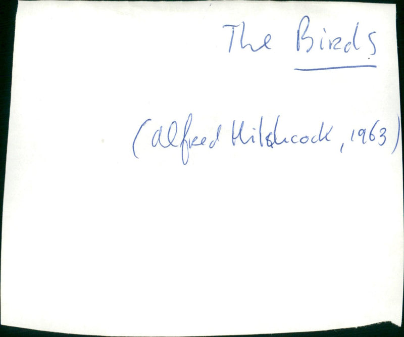 The Birds - Vintage Photograph