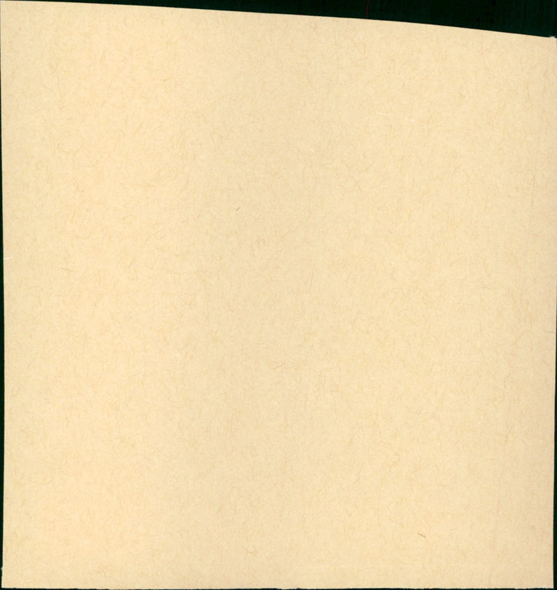 The Cheap Detective - Vintage Photograph