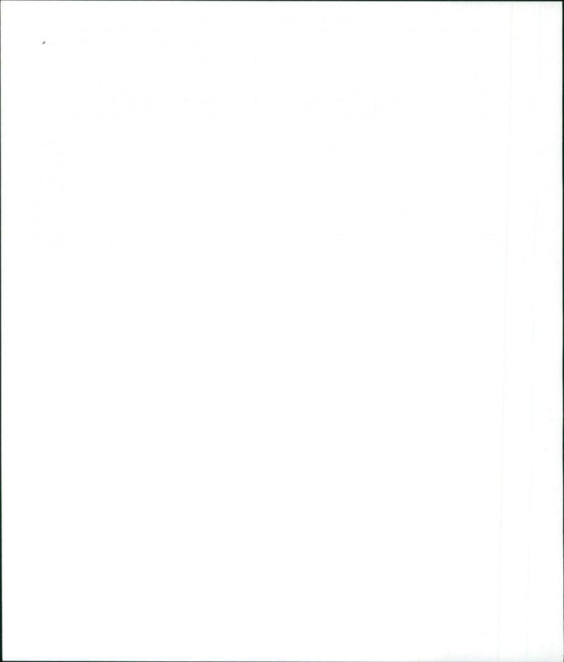 Birds of Darkness - Vintage Photograph