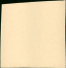 The Trap - Vintage Photograph