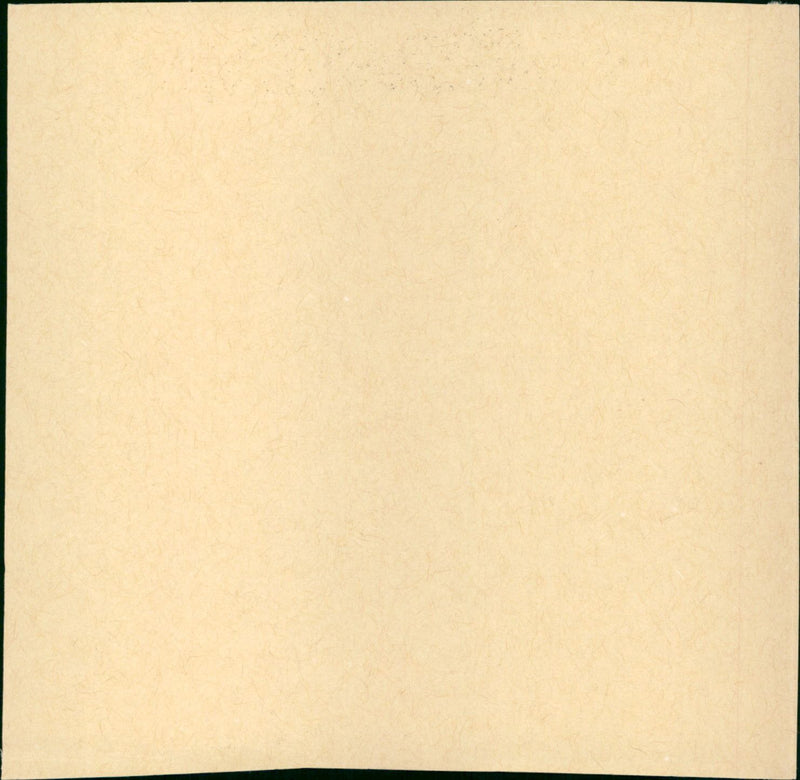 Le chêne - Vintage Photograph