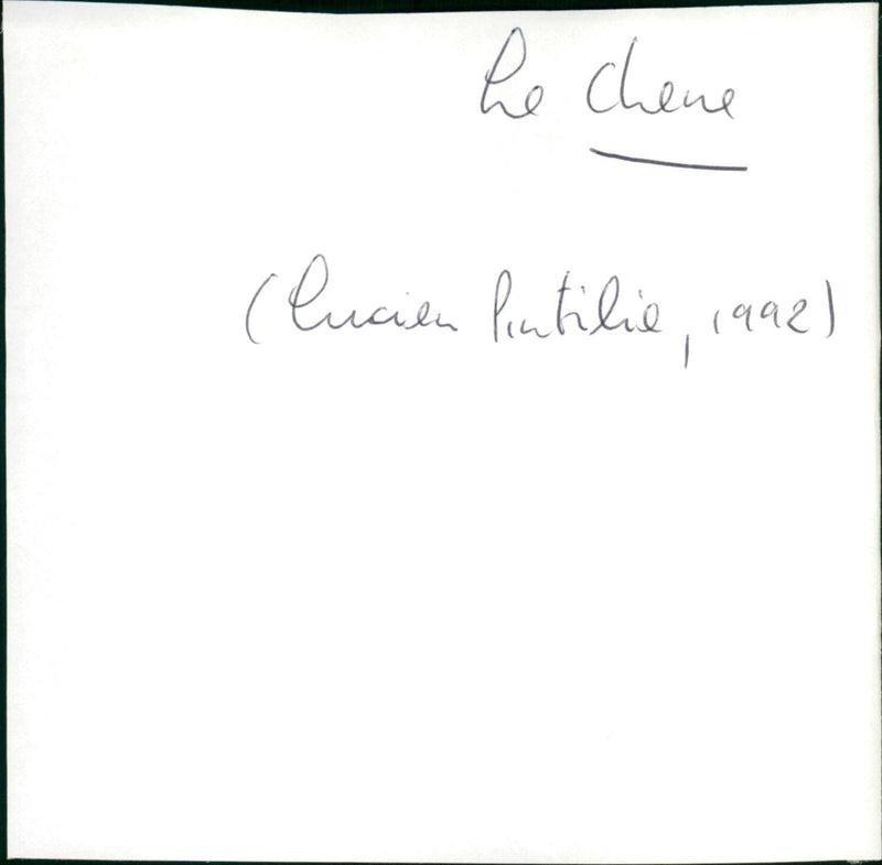 Le chêne - Vintage Photograph