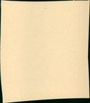 Fuzz - Vintage Photograph