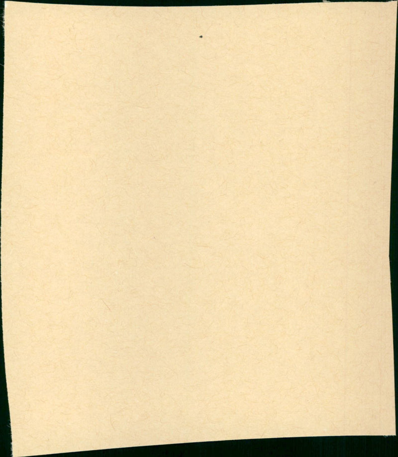 Fuzz - Vintage Photograph