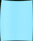 Birdy - Vintage Photograph