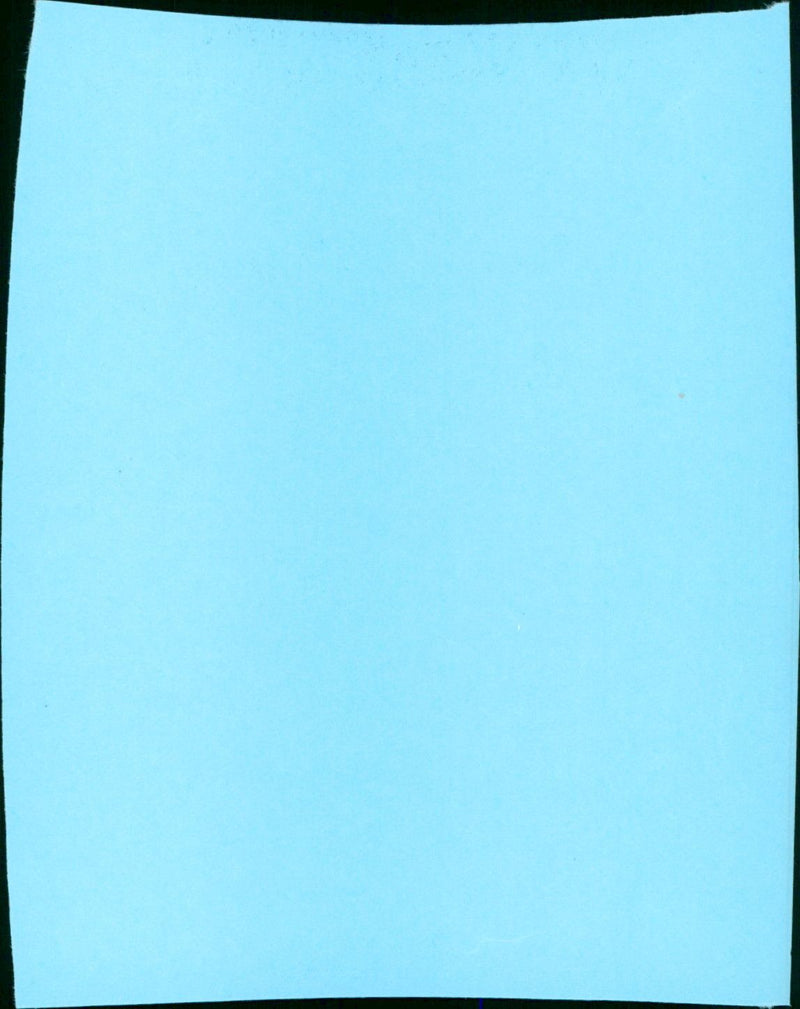 Birdy - Vintage Photograph