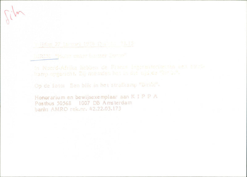 Biribi - Vintage Photograph