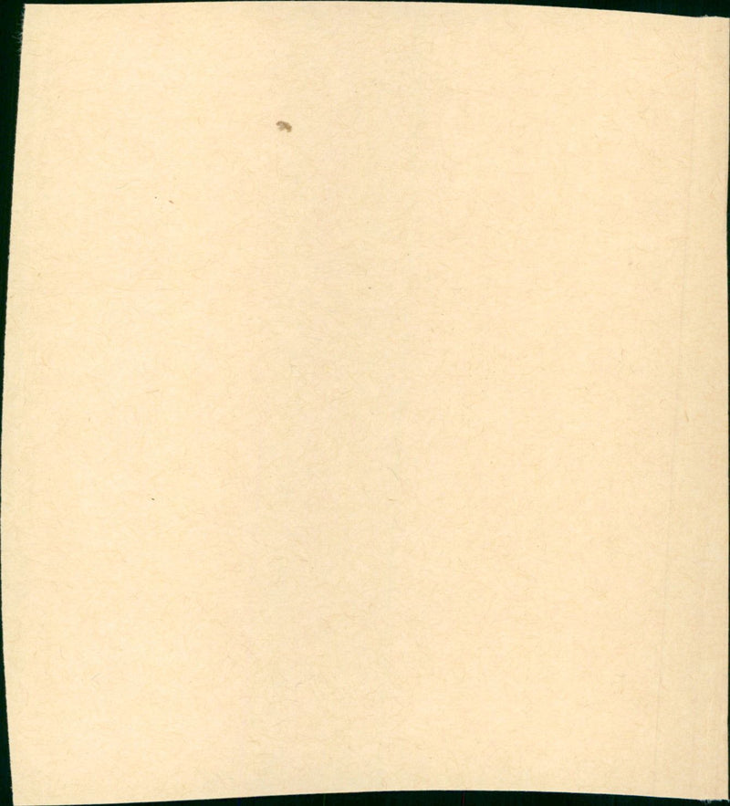 A Great Wall - Vintage Photograph