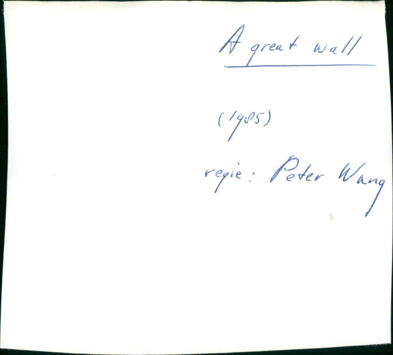 A Great Wall - Vintage Photograph