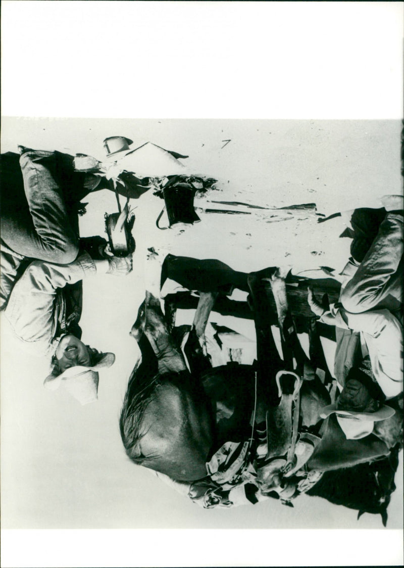 Trail of Danger - Vintage Photograph