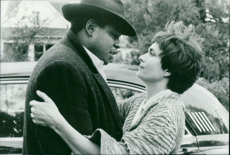 Bird - Vintage Photograph