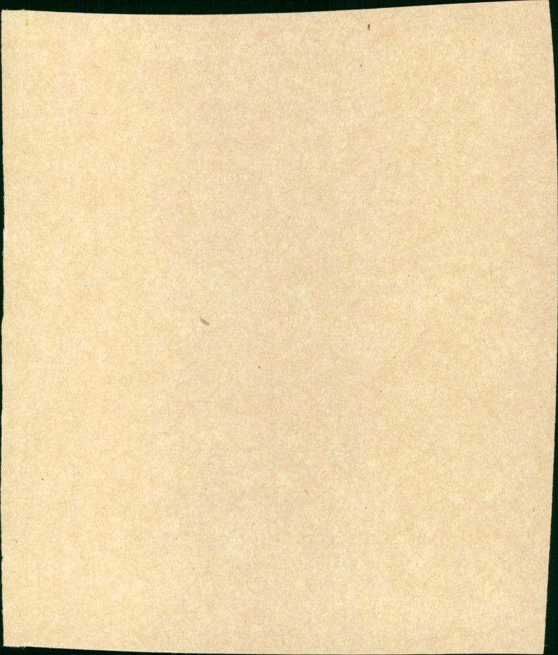 Gotcha! - Vintage Photograph