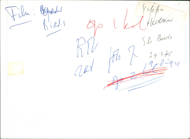 Birds - Vintage Photograph