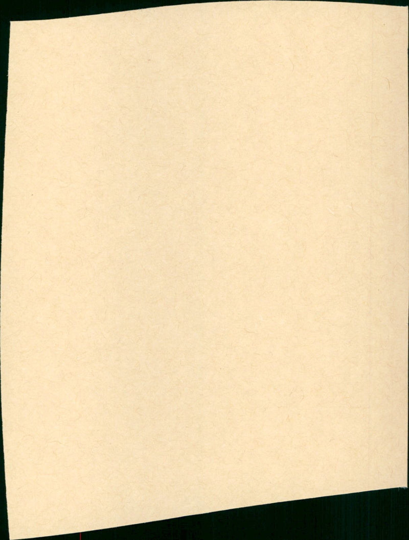 Birdman of Alcatraz - Vintage Photograph