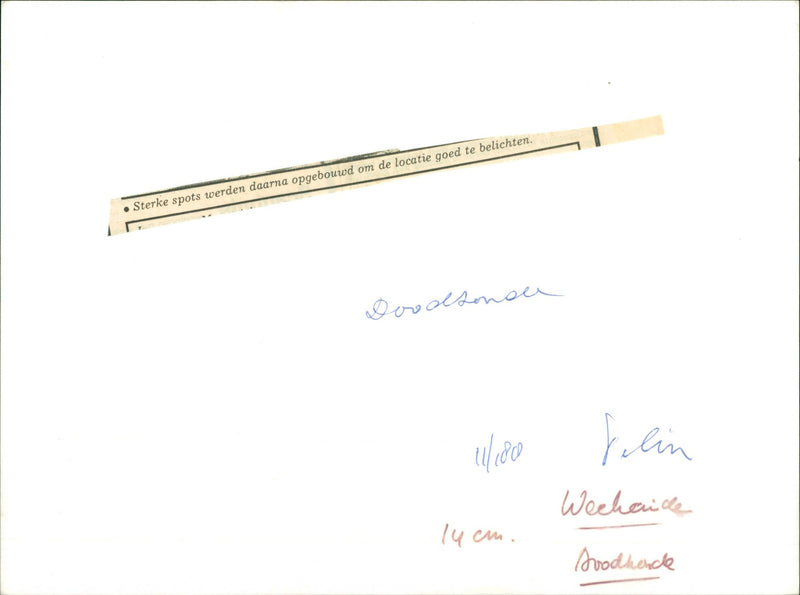 Doodzonde - Vintage Photograph