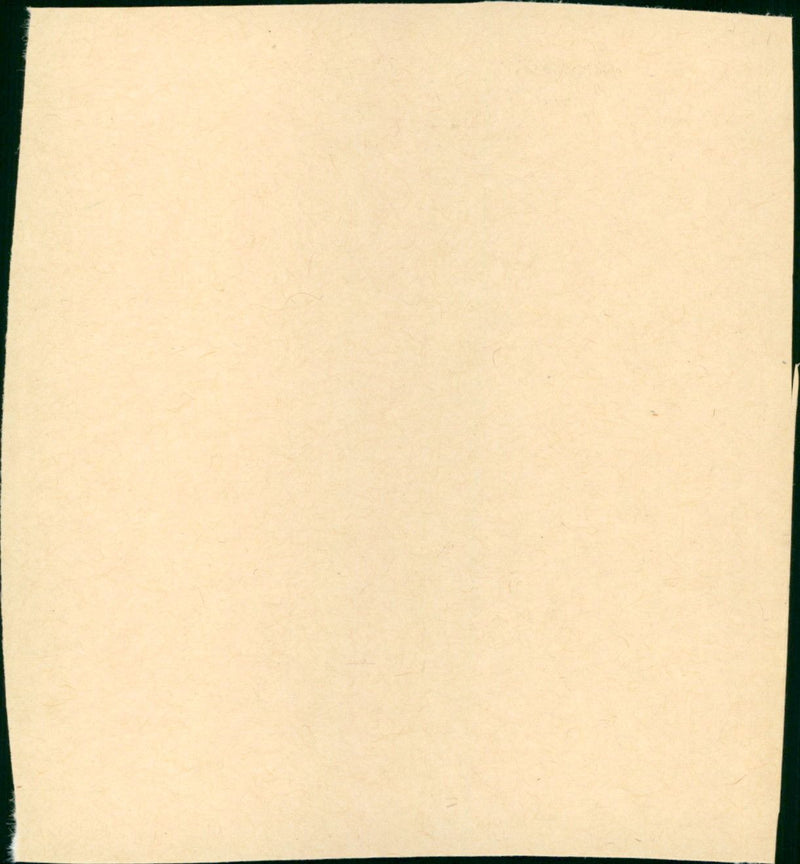 Le grand chemin - Vintage Photograph