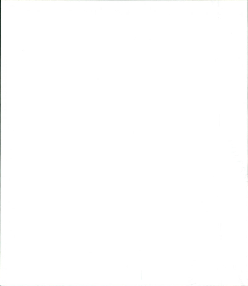 The Birds - Vintage Photograph