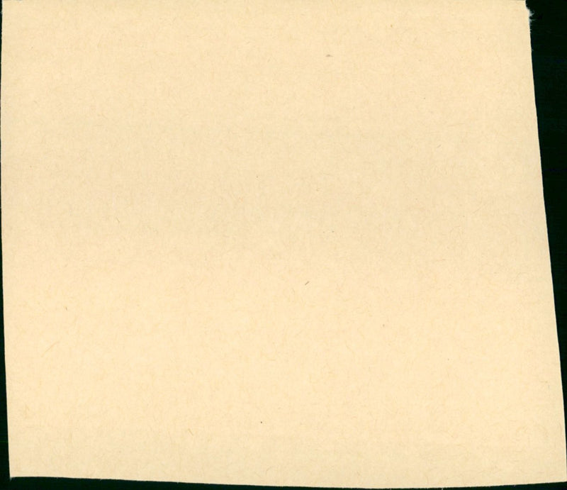 The Goodbye Girl - Vintage Photograph