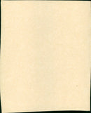 The Gypsy Moths - Vintage Photograph