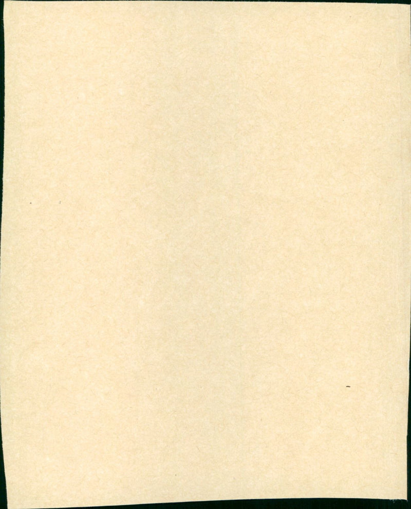 The Gypsy Moths - Vintage Photograph