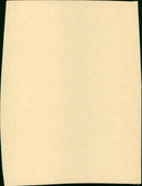 Le grand carnaval - Vintage Photograph