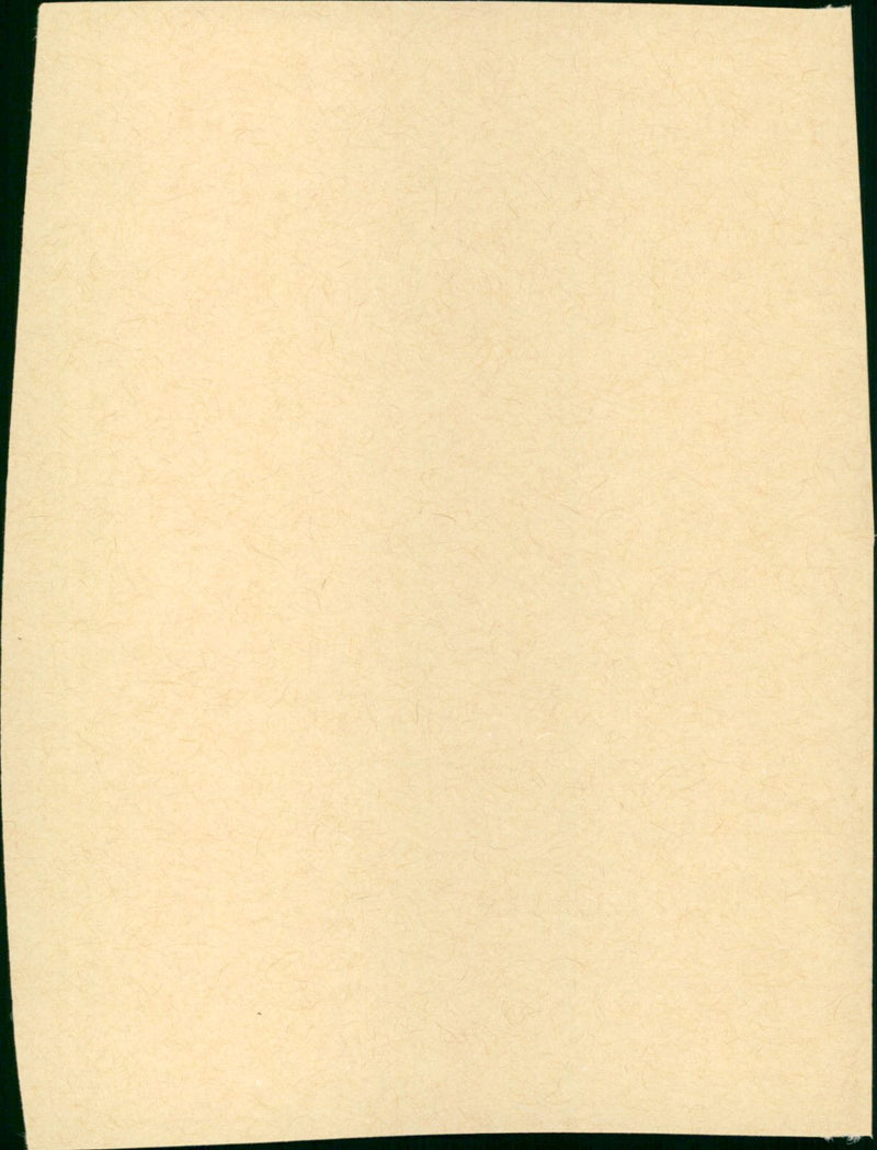 Le grand carnaval - Vintage Photograph