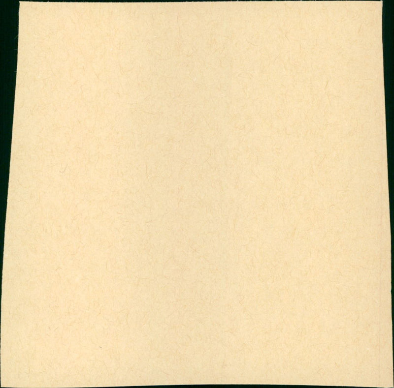 Grand Hotel - Vintage Photograph