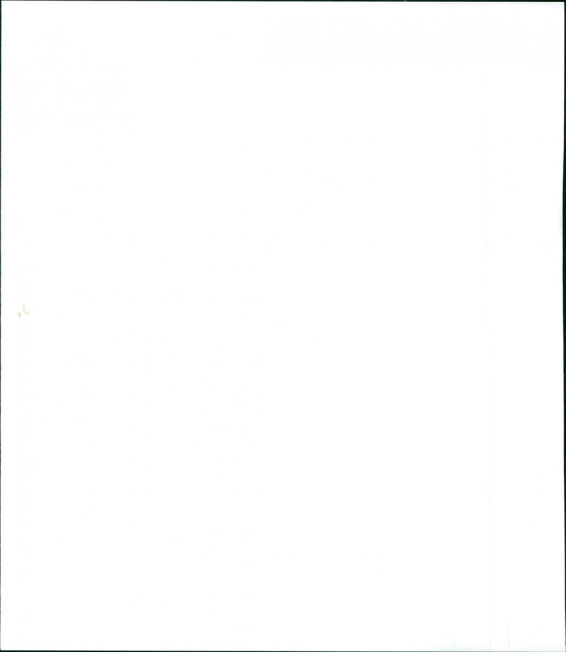 Les tricheurs - Vintage Photograph