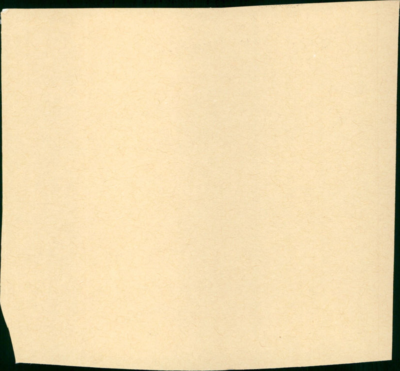 The Treasure of the Sierra Madre - Vintage Photograph