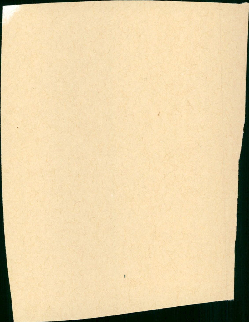 BIRDS OF DARKNESS - Vintage Photograph